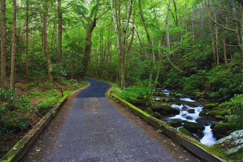 Things To Do Roaring Fork Motor Nature Trail
